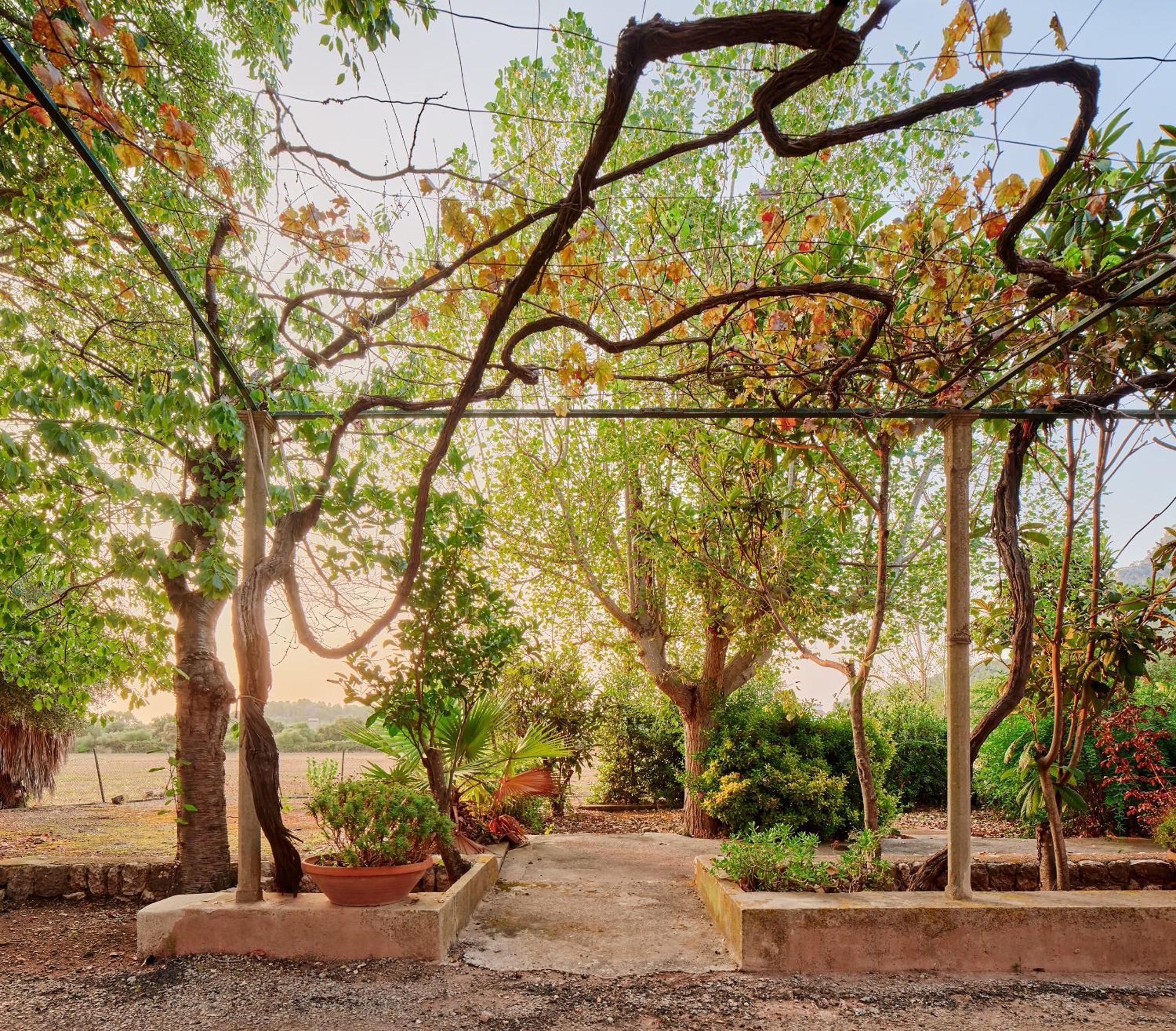 Sa Sinia En El Corazon De La Tramuntana Villa