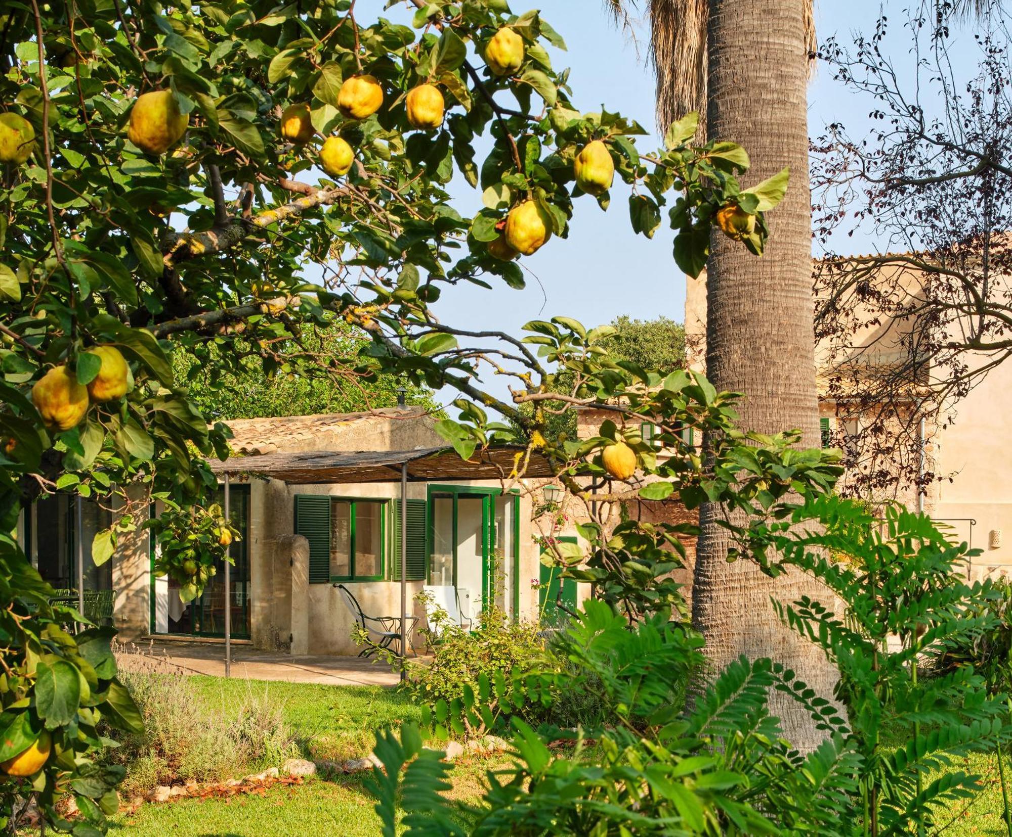 Sa Sinia En El Corazon De La Tramuntana Villa Valldemossa (Mallorca)